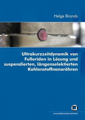 Ultrakurzzeitdynamik von Fulleriden in Lösung und suspendierten, längenselektierten Kohlenstoffnanoröhren von Brands,  Helge