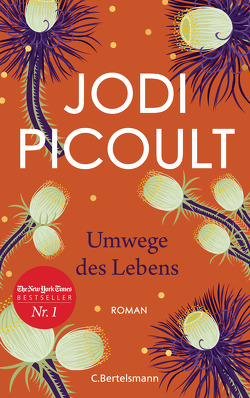 Umwege des Lebens von Peschel,  Elfriede, Picoult,  Jodi