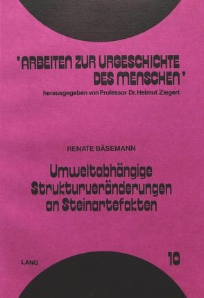 Umweltabhängige Strukturveränderungen an Steinartefakten von Bäsemann,  Renate