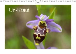 Un-Kraut (Wandkalender 2019 DIN A4 quer) von Bernard / Varphoto,  Wolfgang