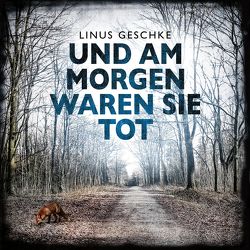 Und am Morgen waren sie tot (Jan-Römer-Krimi 2) von Geschke,  Linus, Nelleßen,  Nils