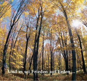 Und es sei Frieden auf Erden… von Meier,  "Billy" Eduard Albert