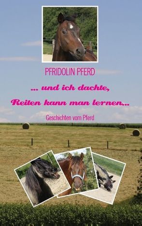 … und ich dachte, Reiten kann man lernen… von Pferd,  Pfridolin