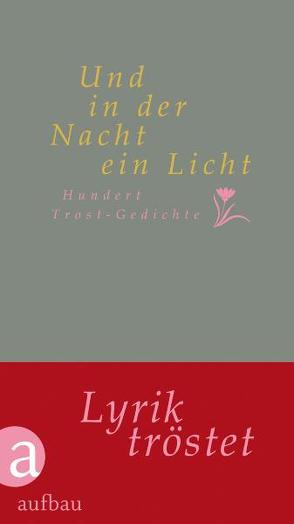 Und in der Nacht ein Licht von Engler,  Jürgen