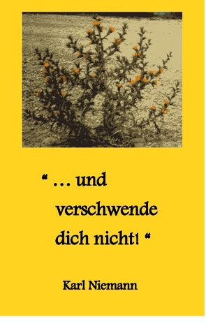 „… und verschwende dich nicht!“ von Niemann,  Karl