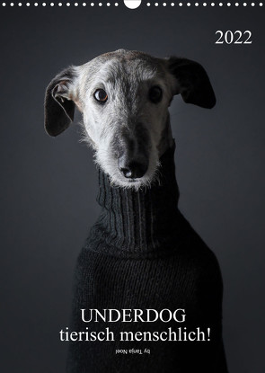 UNDERDOG – Windhundportraits (Wandkalender 2022 DIN A3 hoch) von Noel,  Tanja