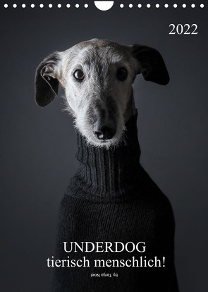 UNDERDOG – Windhundportraits (Wandkalender 2022 DIN A4 hoch) von Noel,  Tanja