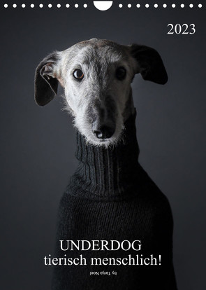 UNDERDOG – Windhundportraits (Wandkalender 2023 DIN A4 hoch) von Noel,  Tanja