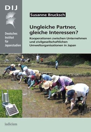 Ungleiche Partner, gleiche Interessen? von Brucksch,  Susanne