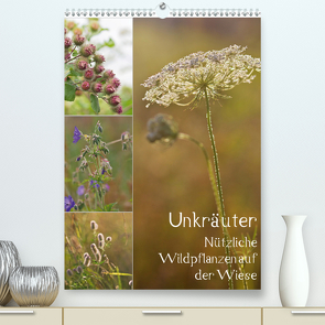 Unkräuter – Nützliche Wildpflanzen auf der Wiese (Premium, hochwertiger DIN A2 Wandkalender 2021, Kunstdruck in Hochglanz) von Drachenkind-Fotografie