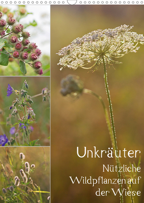 Unkräuter – Nützliche Wildpflanzen auf der Wiese (Wandkalender 2021 DIN A3 hoch) von Drachenkind-Fotografie