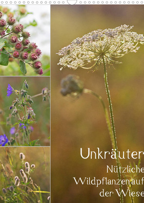 Unkräuter – Nützliche Wildpflanzen auf der Wiese (Wandkalender 2022 DIN A3 hoch) von Drachenkind-Fotografie