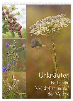 Unkräuter – Nützliche Wildpflanzen auf der Wiese (Wandkalender 2024 DIN A2 hoch), CALVENDO Monatskalender von Drachenkind-Fotografie,  Drachenkind-Fotografie