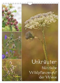 Unkräuter – Nützliche Wildpflanzen auf der Wiese (Wandkalender 2024 DIN A4 hoch), CALVENDO Monatskalender von Drachenkind-Fotografie,  Drachenkind-Fotografie