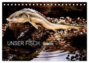 UNSER FISCH. SÜßWASSER. (Tischkalender 2024 DIN A5 quer), CALVENDO Monatskalender von morgenstern,  arne