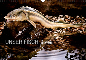 UNSER FISCH. SÜßWASSER. (Wandkalender 2021 DIN A3 quer) von morgenstern,  arne