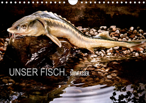 UNSER FISCH. SÜßWASSER. (Wandkalender 2021 DIN A4 quer) von morgenstern,  arne