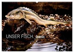 UNSER FISCH. SÜßWASSER. (Wandkalender 2024 DIN A2 quer), CALVENDO Monatskalender von morgenstern,  arne