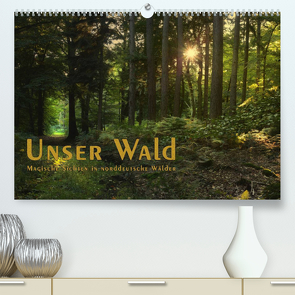 Unser Wald – Magische Sichten in norddeutsche Wälder / Geburtstagskalender (Premium, hochwertiger DIN A2 Wandkalender 2022, Kunstdruck in Hochglanz) von Langenkamp,  Heike