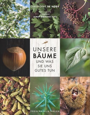 Unsere Bäume und was sie uns Gutes tun von de Hody,  Christophe, Ertl,  Helmut, Jamet Moreno Ruiz,  Corinne