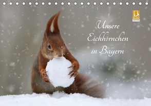 Unsere Eichhörnchen in Bayern (Tischkalender 2021 DIN A5 quer) von Cerny,  Birgit