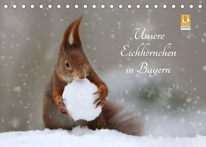 Unsere Eichhörnchen in Bayern (Tischkalender 2022 DIN A5 quer) von Cerny,  Birgit