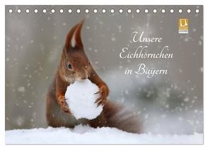 Unsere Eichhörnchen in Bayern (Tischkalender 2024 DIN A5 quer), CALVENDO Monatskalender von Cerny,  Birgit