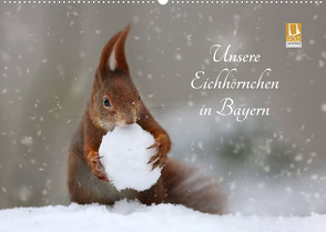 Unsere Eichhörnchen in Bayern (Wandkalender 2022 DIN A2 quer) von Cerny,  Birgit