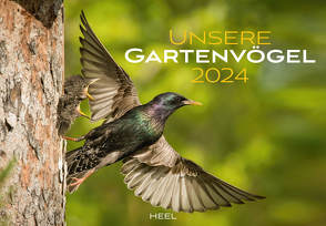 Unsere Gartenvögel Kalender 2024