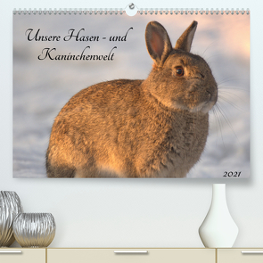 Unsere Hasen – und Kaninchenwelt (Premium, hochwertiger DIN A2 Wandkalender 2021, Kunstdruck in Hochglanz) von Andreas Lederle,  Kevin