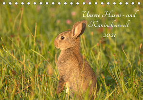 Unsere Hasen – und Kaninchenwelt (Tischkalender 2021 DIN A5 quer) von Andreas Lederle,  Kevin