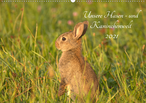 Unsere Hasen – und Kaninchenwelt (Wandkalender 2021 DIN A2 quer) von Andreas Lederle,  Kevin