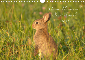 Unsere Hasen – und Kaninchenwelt (Wandkalender 2021 DIN A4 quer) von Andreas Lederle,  Kevin