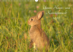 Unsere Hasen – und Kaninchenwelt (Wandkalender 2022 DIN A3 quer) von Andreas Lederle,  Kevin