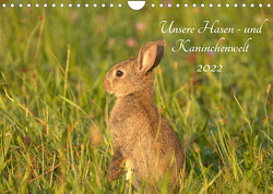 Unsere Hasen – und Kaninchenwelt (Wandkalender 2022 DIN A4 quer) von Andreas Lederle,  Kevin