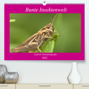 Unsere Insektenwelt (Premium, hochwertiger DIN A2 Wandkalender 2022, Kunstdruck in Hochglanz) von Andreas Lederle,  Kevin