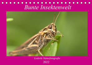 Unsere Insektenwelt (Tischkalender 2022 DIN A5 quer) von Andreas Lederle,  Kevin