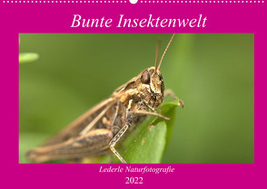 Unsere Insektenwelt (Wandkalender 2022 DIN A2 quer) von Andreas Lederle,  Kevin