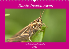 Unsere Insektenwelt (Wandkalender 2022 DIN A3 quer) von Andreas Lederle,  Kevin