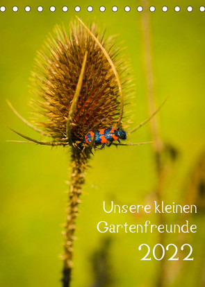 Unsere kleinen Gartenfreunde (Tischkalender 2022 DIN A5 hoch) von Gartenchaosliebe