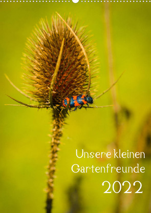 Unsere kleinen Gartenfreunde (Wandkalender 2022 DIN A2 hoch) von Gartenchaosliebe