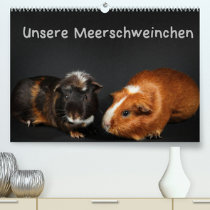 Unsere Meerschweinchen (Premium, hochwertiger DIN A2 Wandkalender 2022, Kunstdruck in Hochglanz) von Klecker,  Hermann