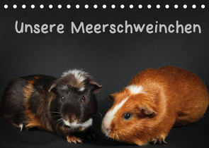 Unsere Meerschweinchen (Tischkalender 2022 DIN A5 quer) von Klecker,  Hermann