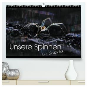 Unsere Spinnen – im Gespräch (hochwertiger Premium Wandkalender 2024 DIN A2 quer), Kunstdruck in Hochglanz von Herbolzheimer,  Carl-Peter