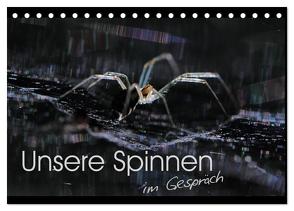 Unsere Spinnen – im Gespräch (Tischkalender 2024 DIN A5 quer), CALVENDO Monatskalender von Herbolzheimer,  Carl-Peter