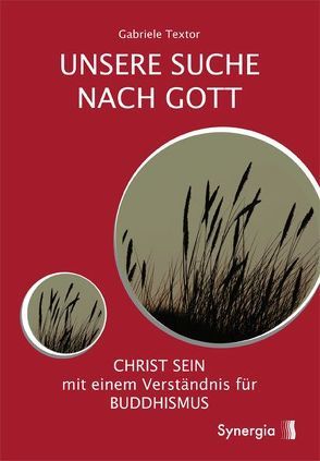 Unsere Suche nach Gott von Textor,  Gabriele