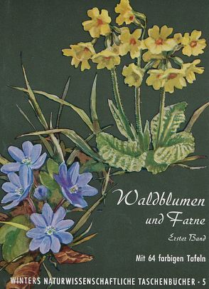 Unsere Waldblumen und Farngewächse von Hartmann,  F K, Rühl,  A.