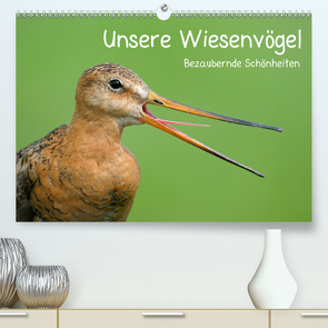 Unsere Wiesenvögel – Bezaubernde Schönheiten (Premium, hochwertiger DIN A2 Wandkalender 2021, Kunstdruck in Hochglanz) von Wermter,  Christof