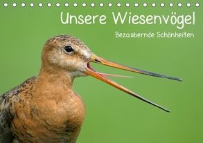 Unsere Wiesenvögel – Bezaubernde Schönheiten (Tischkalender 2018 DIN A5 quer) von Wermter,  Christof