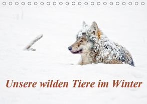 Unsere wilden Tiere im Winter (Tischkalender 2019 DIN A5 quer) von GDT, Martin,  Wilfried